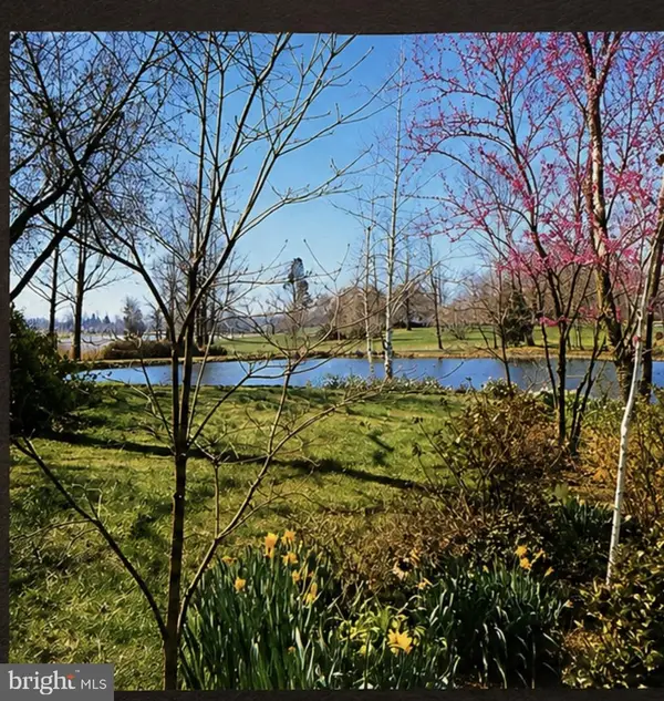 28221 Widgeon Ter, EASTON, MD 21601