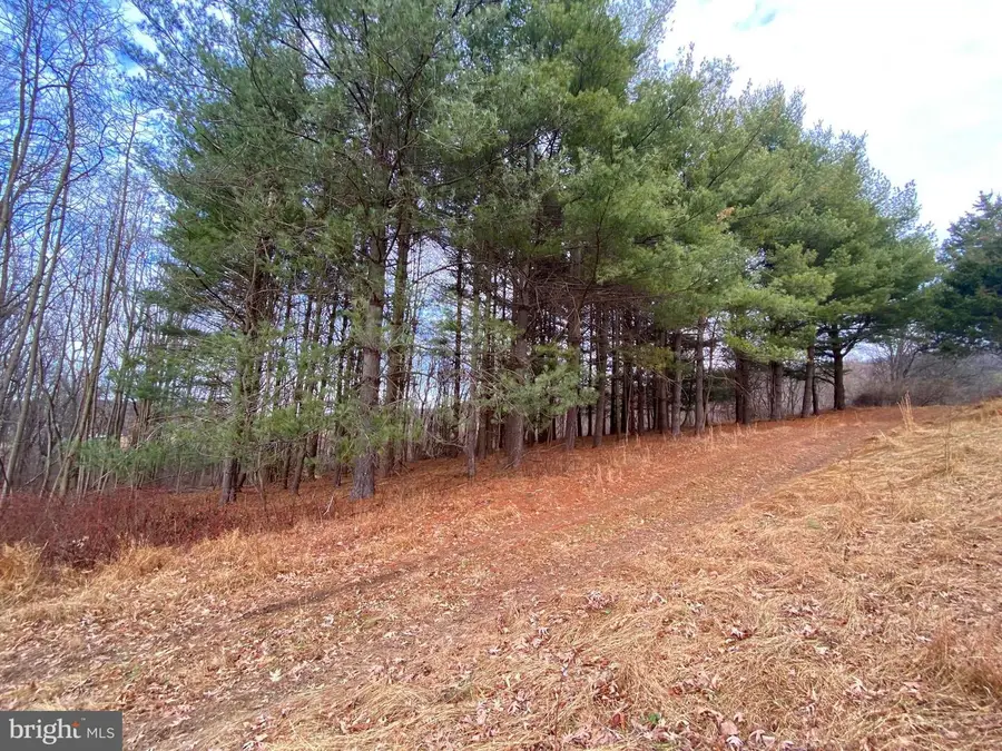 2040 Hoffmaster Rd, Knoxville, MD 21758 - Image #3