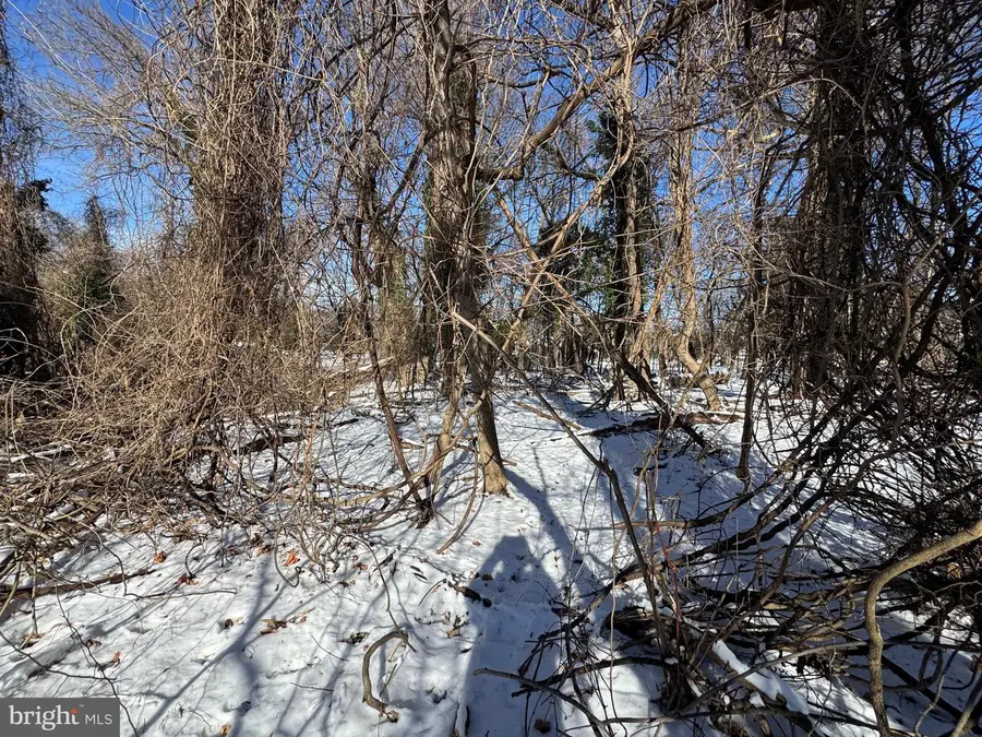 Tract 2: 0.42+/- Acres Oak Ave, Cascade, MD 21719 - Image #2