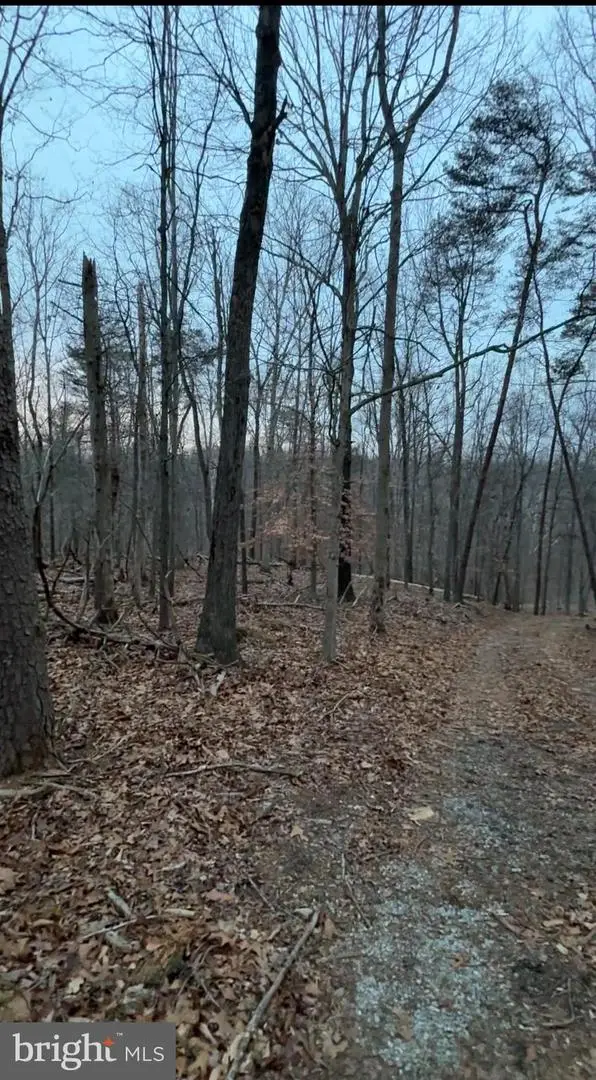 Lot 2, Parcel 240 Harpers Ferry Rd, Knoxville, MD 21758 - Image #2