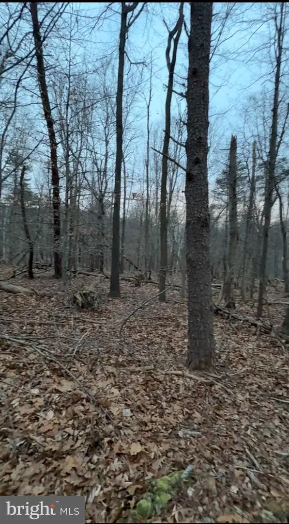 Lot 2, Parcel 240 Harpers Ferry Rd, Knoxville, MD 21758 - Image #3