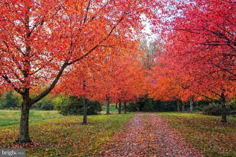 120 Old National Pike, Hagerstown, MD 21740 - #3