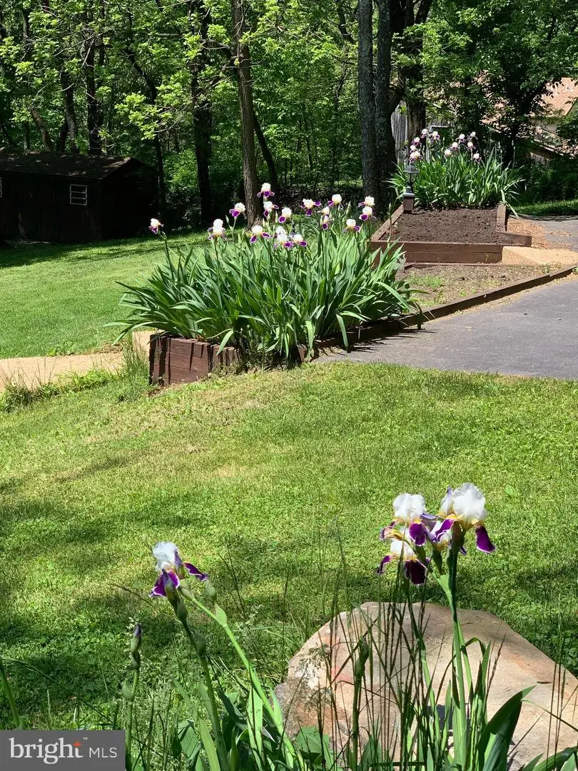 20807 Townsend Rd, Rohrersville, MD 21779 - #2