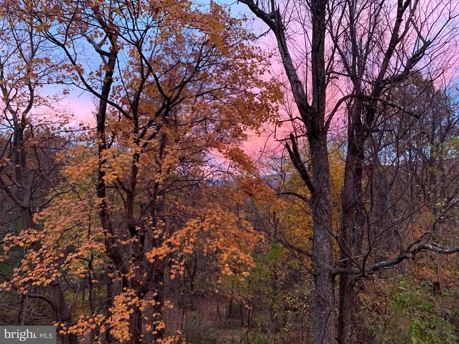 20807 Townsend Rd, Rohrersville, MD 21779 - #3