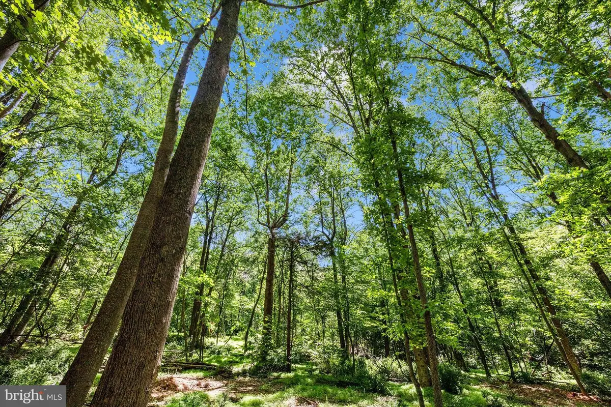 Harpers Ferry Road, Knoxville, MD 21758 - #1