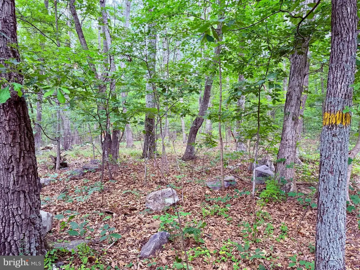 21908 White Oak Rd, Hagerstown, MD 21740 - #1