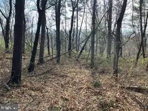 Lot 10 Shanktown Rd, BIG POOL, MD 21711