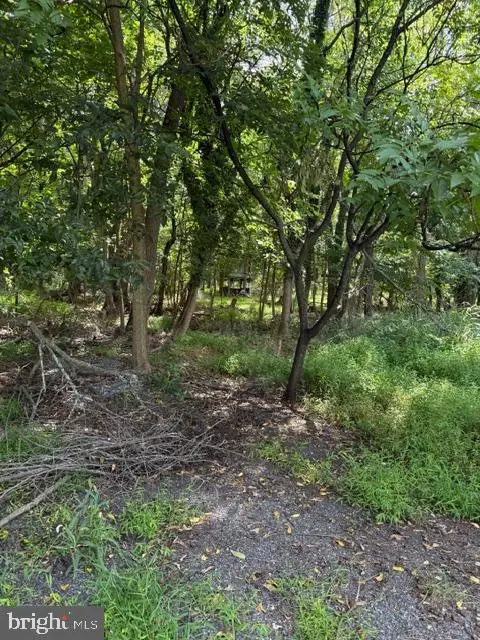 50 Saint Paul St #lot 2, BOONSBORO, MD 21713