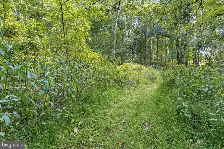 11284 Big Pool Rd, Big Pool, MD 21711 - #2