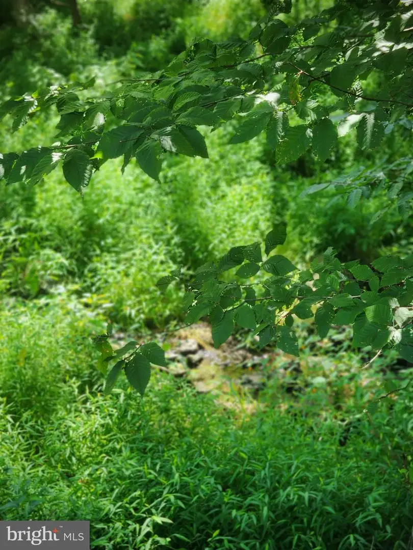 Zittlestown Rd, Boonsboro, MD 21713 - #3