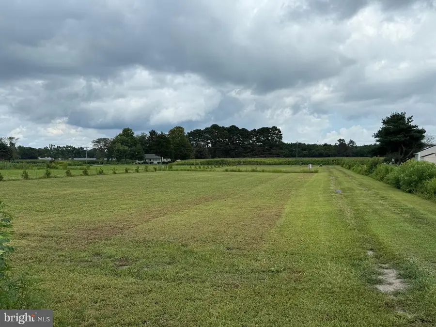 6794 Bent Pine Rd, Willards, MD 21874 - Image #3