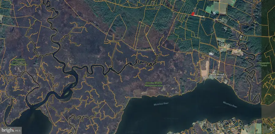 0 Muddy Hole Rd, Tyaskin, MD 21865 - Image #2