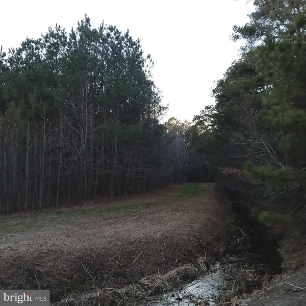 0 Upper Ferry Rd, EDEN, MD 21822