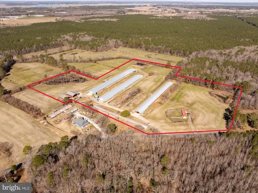 24688 Porter Mill Rd, Hebron, MD 21830 - Image #2