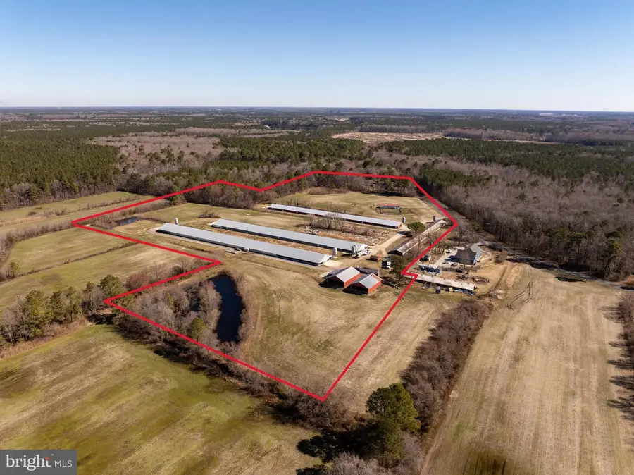 24688 Porter Mill Rd, Hebron, MD 21830 - Image #3