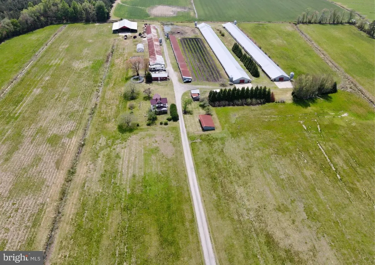 36555 Sheppards Crossing Rd, Willards, MD 21874 - Image #1