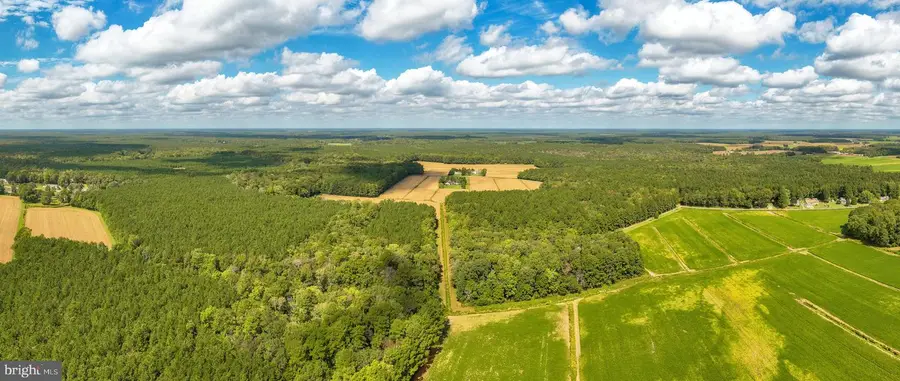 0 Bob Smith Rd, Parsonsburg, MD 21849 - Image #2