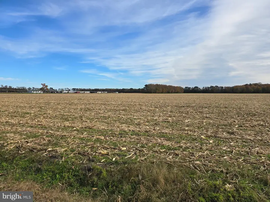 0 Richardson Rd, Willards, MD 21874 - Image #2