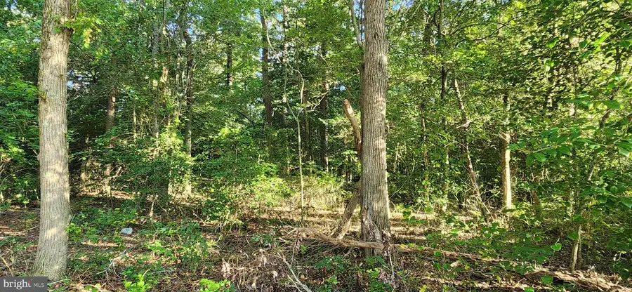 Lot 19 Brandywood Ln, Salisbury, MD 21801 - Image #3