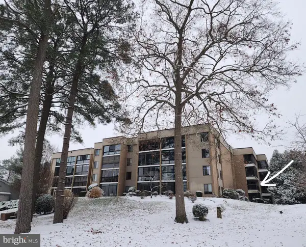 227 Canal Park Dr #206, SALISBURY, MD 21804