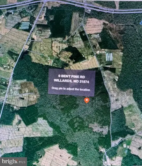 0 Bent Pine Rd, Willards, MD 21874 - Image #1