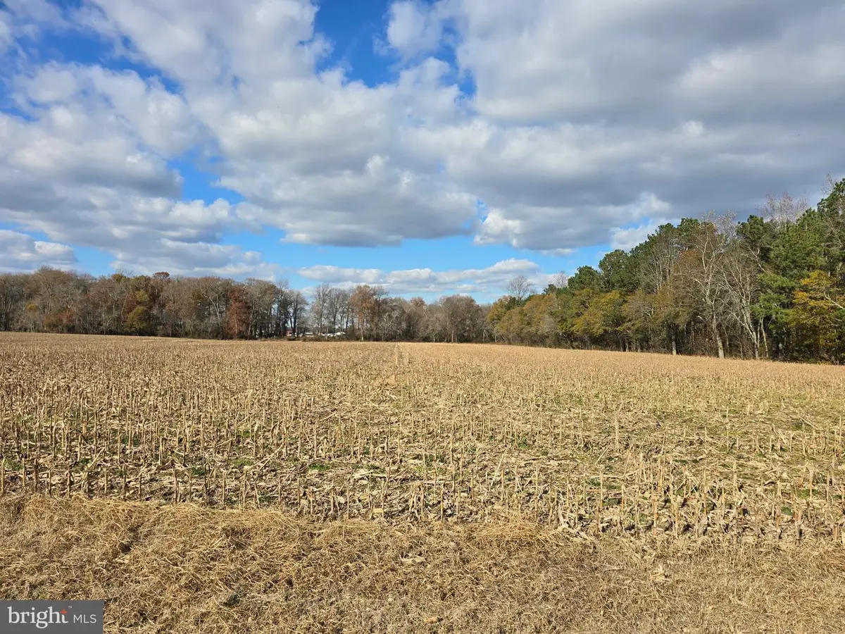 0 Lot 2 Poplar Neck Rd, Willards, MD 21874 - Image #1