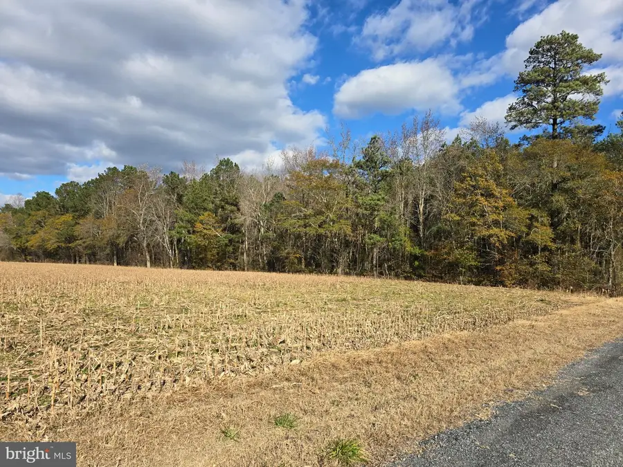 0 Lot 2 Poplar Neck Rd, Willards, MD 21874 - Image #2