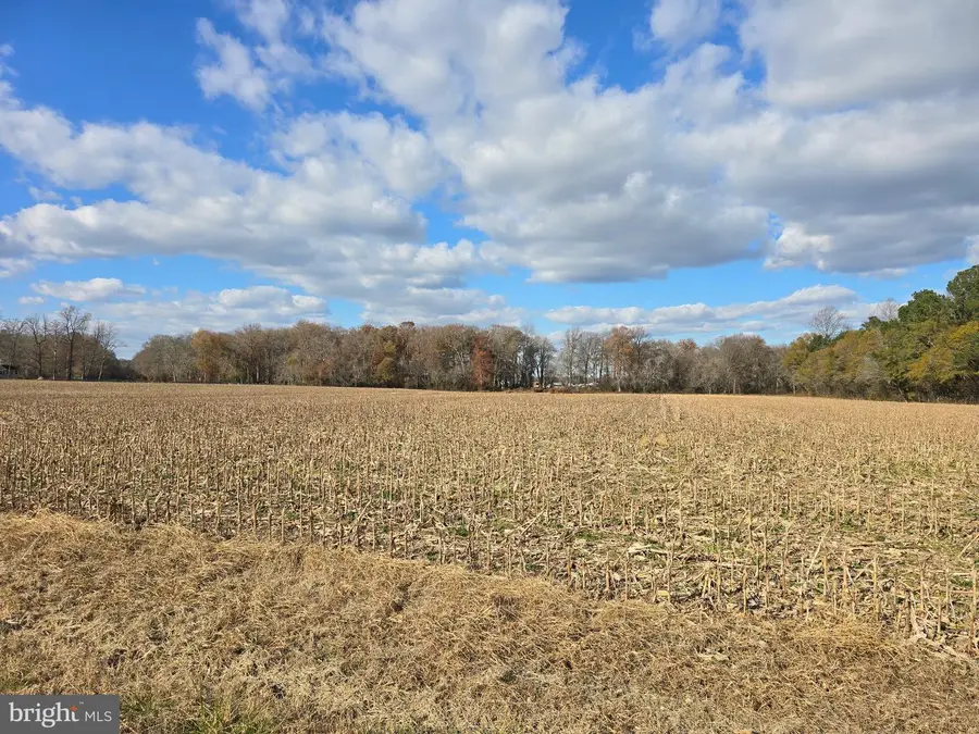 0 Lot 2 Poplar Neck Rd, Willards, MD 21874 - Image #3