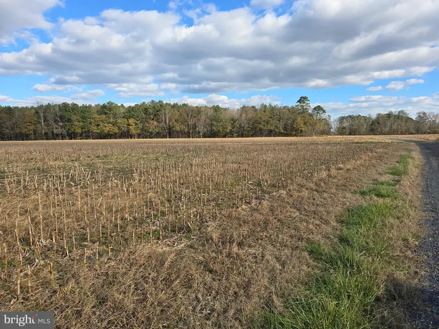 0 Lot 1 Poplar Neck #road, Willards, MD 21874 - Image #3