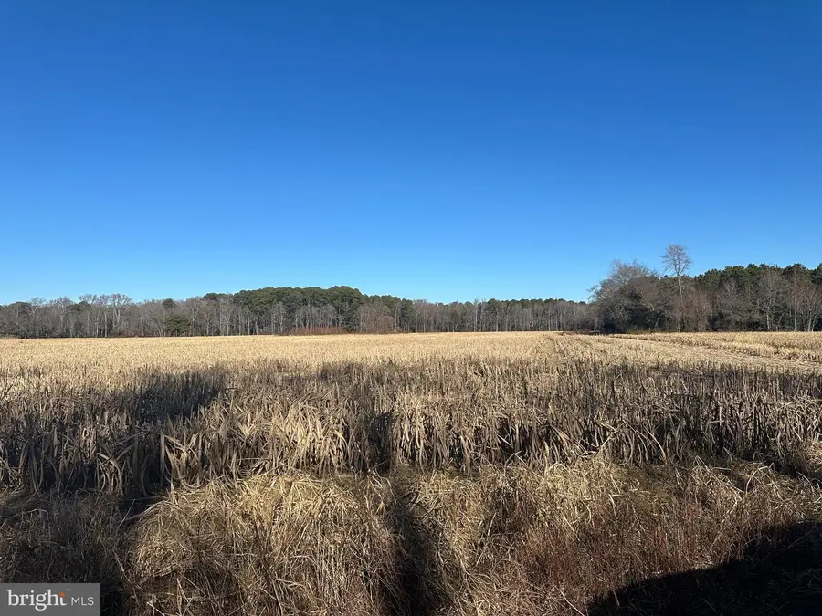 0 Bivalve Lodge Rd, Bivalve, MD 21814 - Image #3