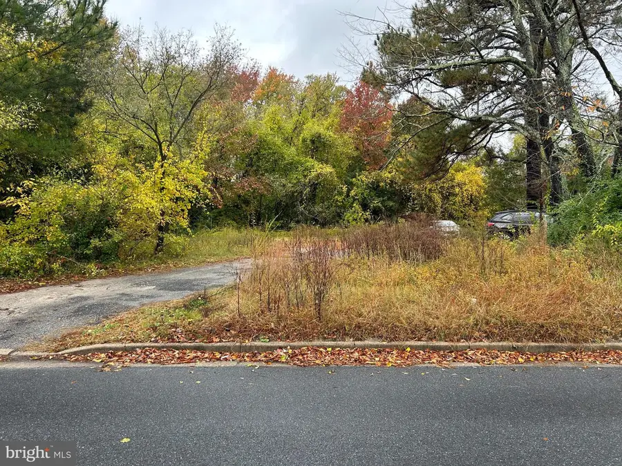 1028 Delaware Ave, Salisbury, MD 21801 - #2