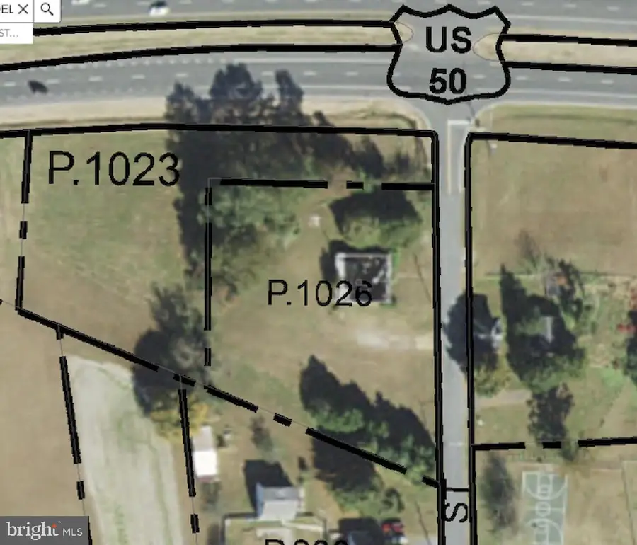206 Station St, Mardela Springs, MD 21837 - Image #3