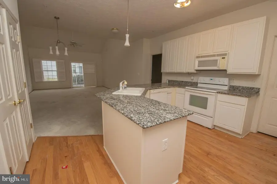 8935 Executive Club Dr, Delmar, MD 21875 - #3