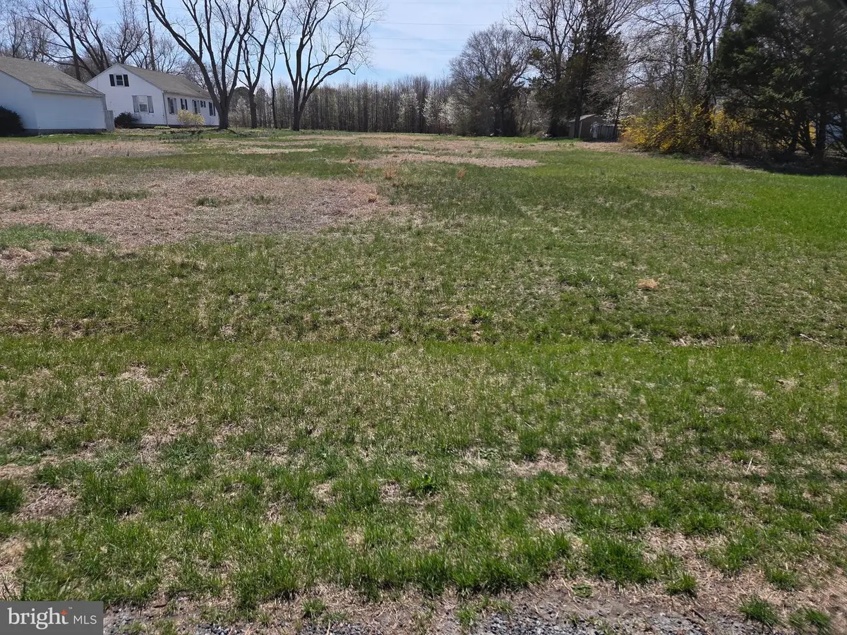 0 Lot 1 Three Bridges Rd, Willards, MD 21874 - #1
