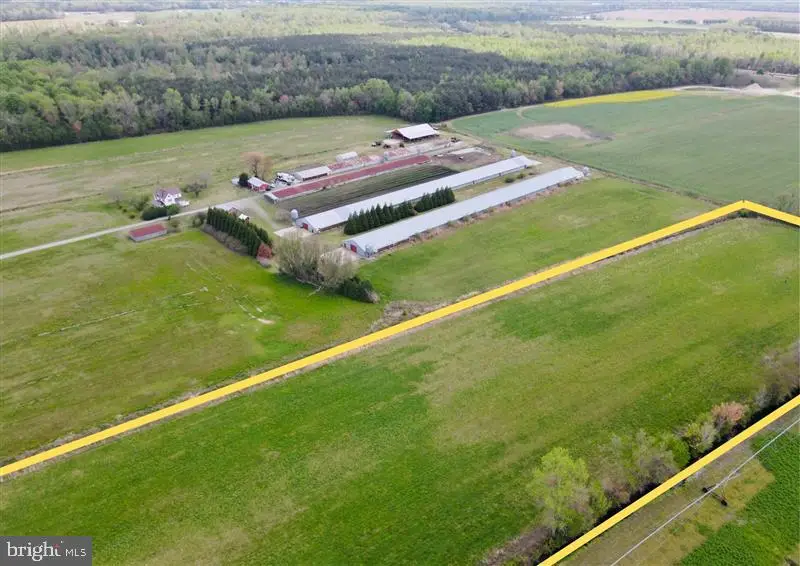 Sheppards Crossing, Willards, MD 21874 - #1