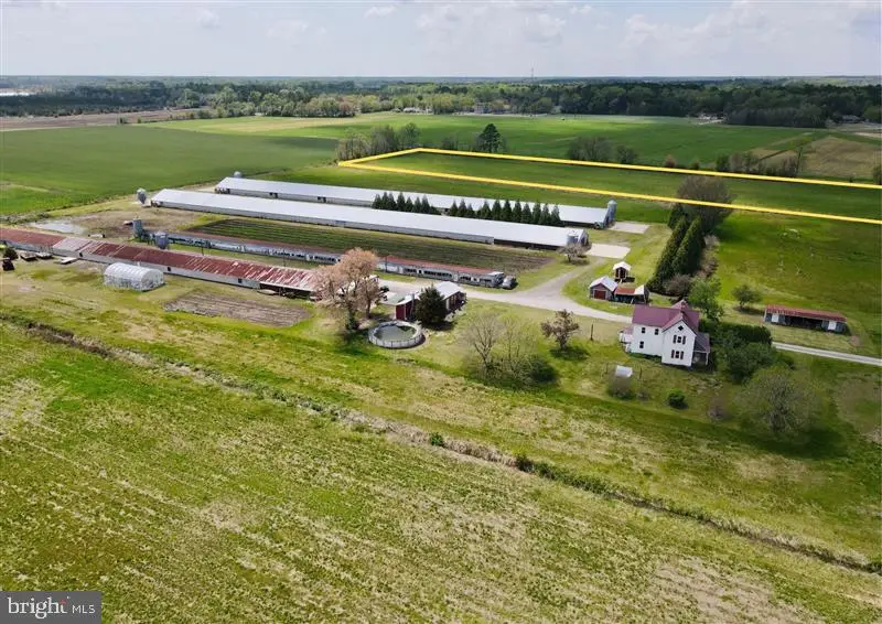 Sheppards Crossing, Willards, MD 21874 - #2