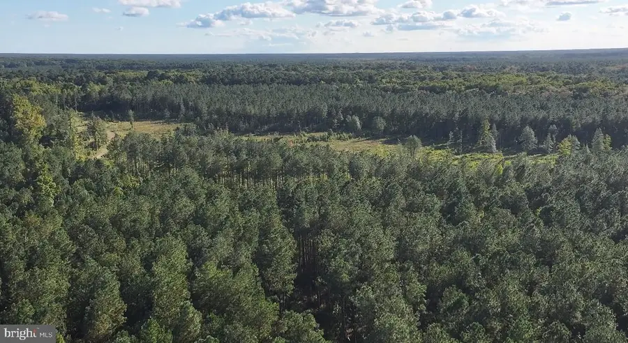 0 Bear Swamp Rd, Parsonsburg, MD 21849 - #2