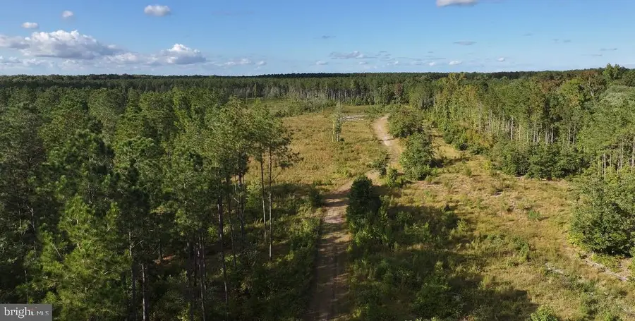 0 Bear Swamp Rd, Parsonsburg, MD 21849 - #3