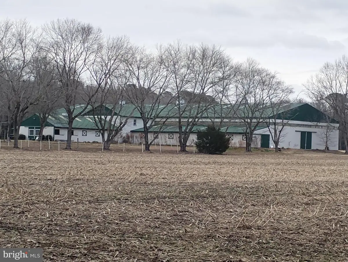 31729 Spearin Rd, Salisbury, MD 21804 - #1