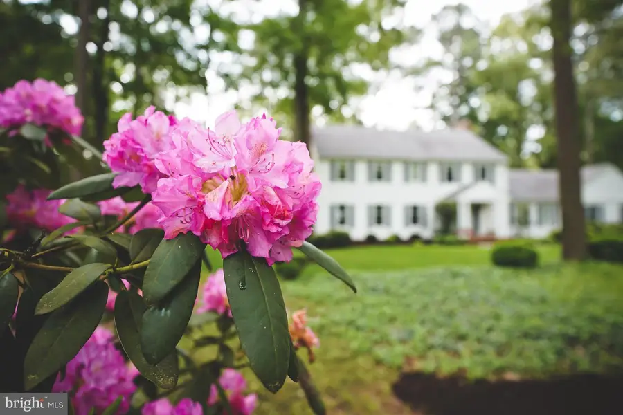 29745 Jackson Rd, Salisbury, MD 21804 - #3