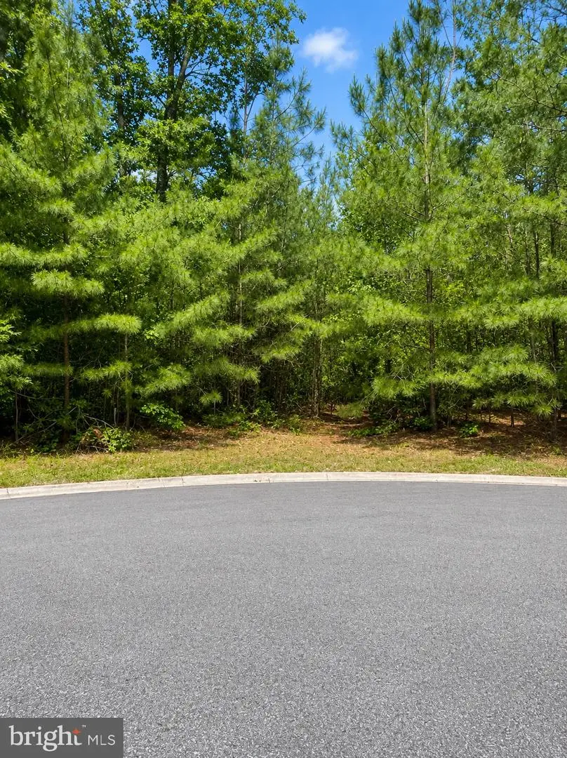 Pristine Pl #16aa, Parsonsburg, MD 21849 - #3