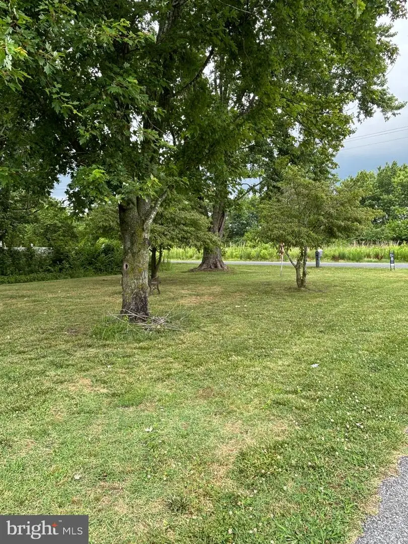 34949 Main St, Pittsville, MD 21850 - #2