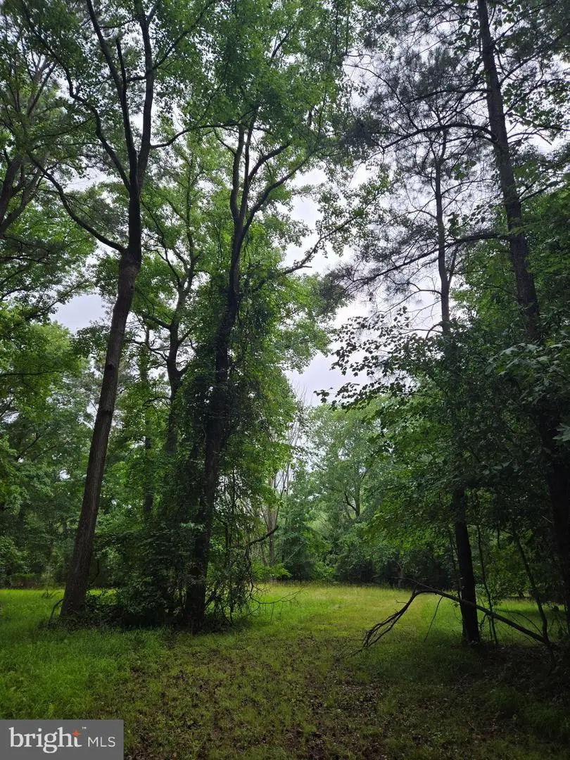 0 Cooper Rd, Eden, MD 21822 - #1