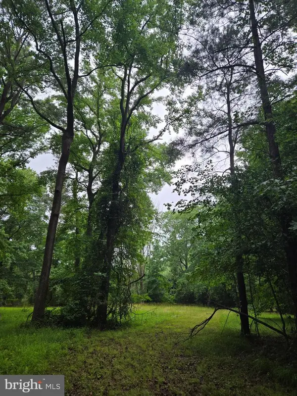 0 Cooper Rd, EDEN, MD 21822