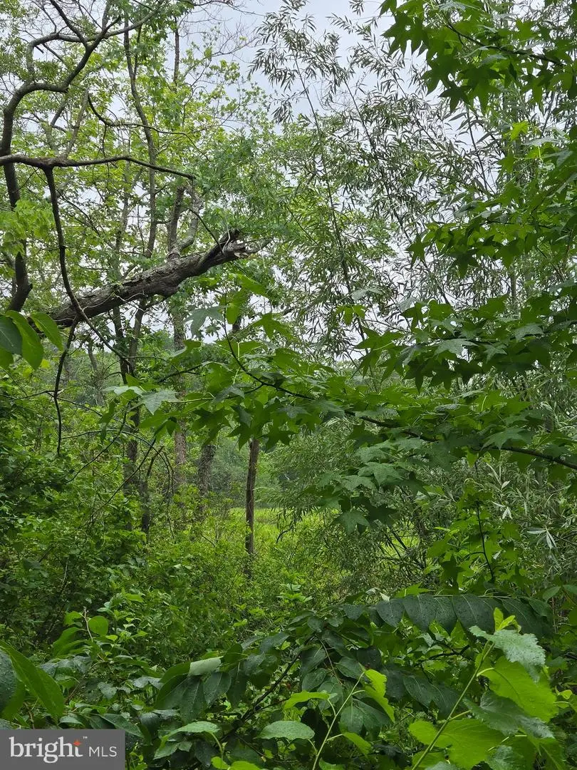 0 Cooper Rd, Eden, MD 21822 - #3