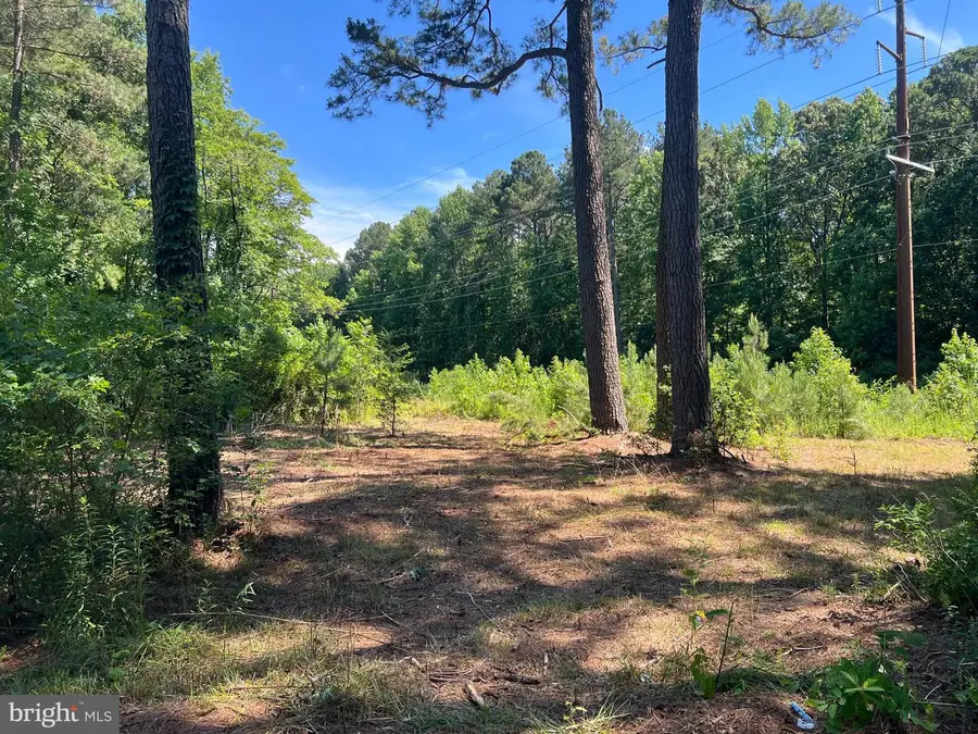 Cedar Ct, Hebron, MD 21830 - #3