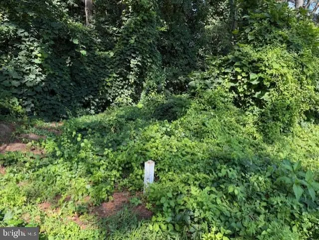 0 Riverside Dr, Salisbury, MD 21801 - #3