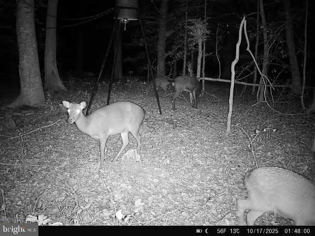 0 Head Of Creek Rd, Quantico, MD 21856 - #3