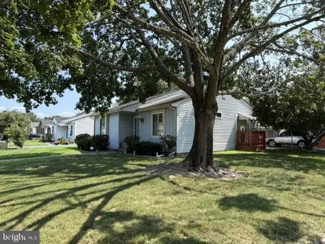 929 Green Mor Ave, Salisbury, MD 21804 - #2