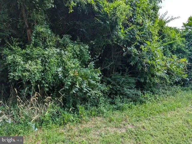 2685 Bank Rd, Nanticoke, MD 21840 - #1